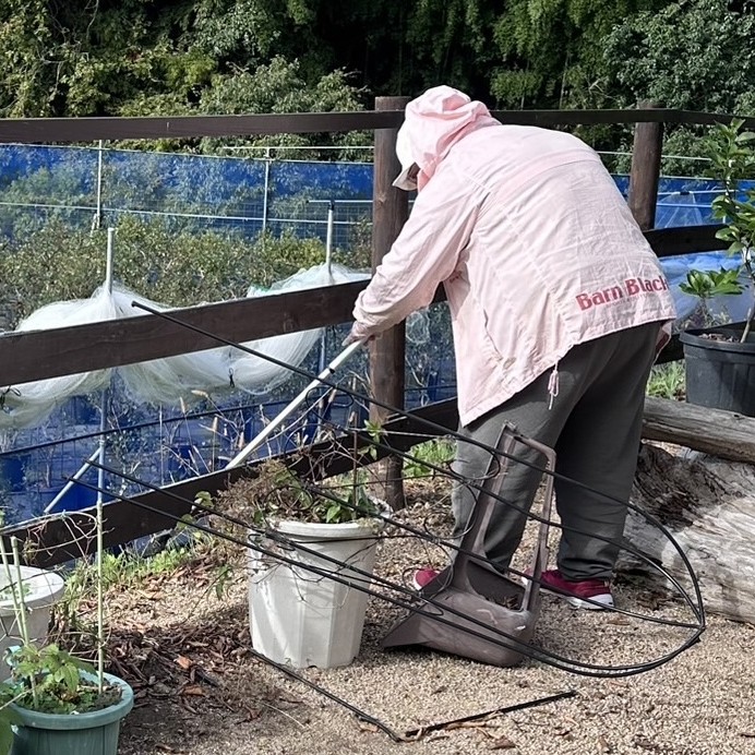 施設外就労画像