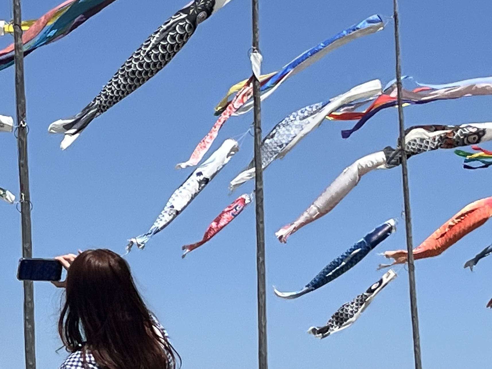 レクリエーション画像